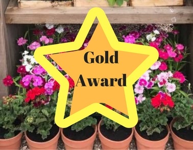 Team win Gold at BBC Gardeners' World Live